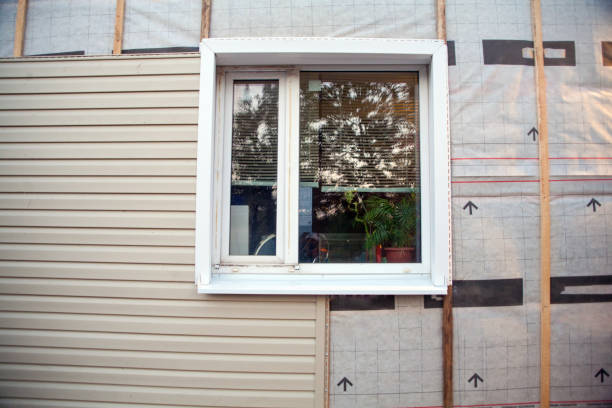 Best Residential Vinyl Siding Installation  in View Park Windsor Hills, CA