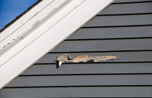 Best Siding for New Construction  in View Park Windsor Hills, CA